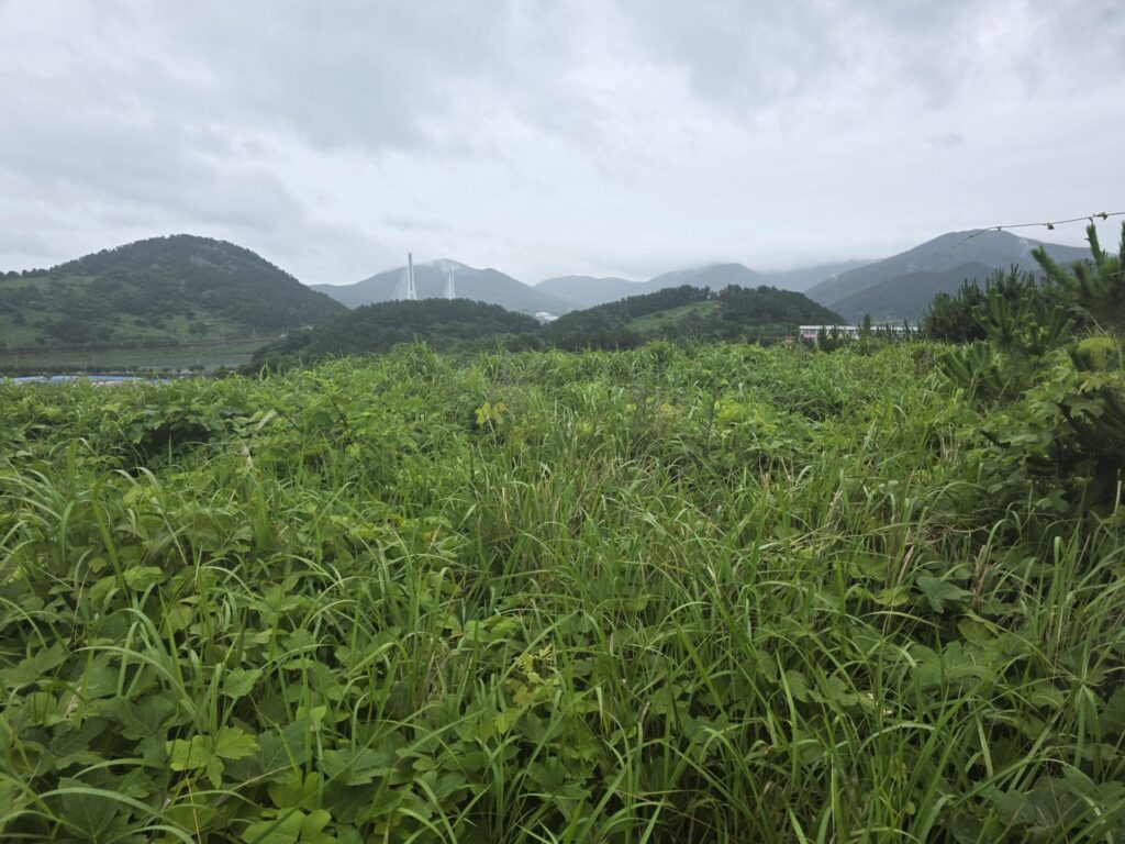 바다전망이 좋은 언덕위 토지, 육지 섬